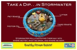 take a dip in stormwater image of pool with debris inside